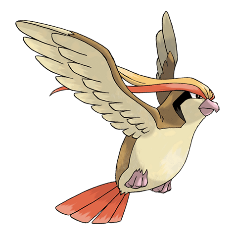Pidgeot